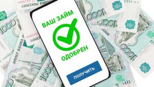 Виды потребительских займов: обзор и особенности